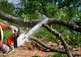 Mulching Services in Labelle, FL